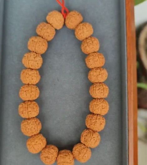 乌里达树祖小金刚菩提手持,21颗,五瓣,尺...