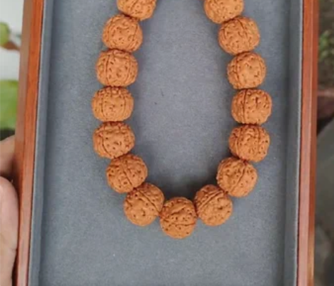 树祖小金刚菩提手持，五瓣，尺寸17左右，1...