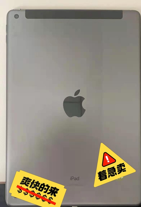 【缺钱用！着急卖】iPad 平板2019第...