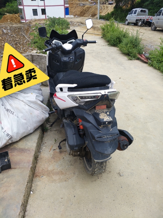 能骑能跑
