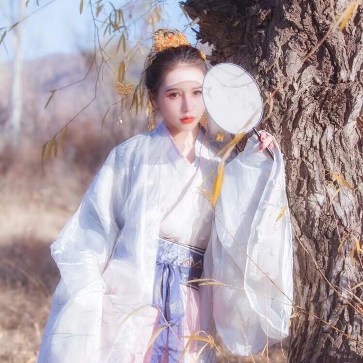 转卖白芷司南阁汉服春装女仙女魏晋风广袖流仙...