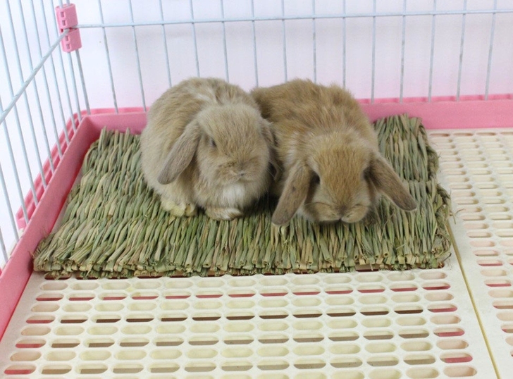 稻草垫脚垫兔子仓鼠鸽子龙猫各种宠物用品全新