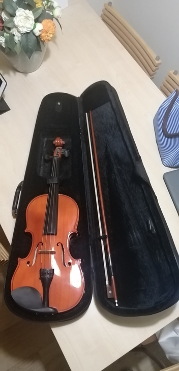 前些年在柏斯琴行买的，品牌是泰兴产的田园牌...