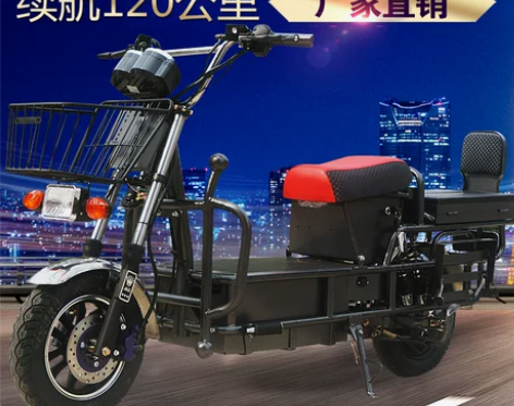 载重王电动电瓶车电摩96V72V载货路霸拉...