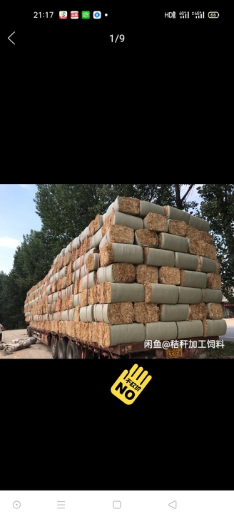 出售秸秆，稻草，干湿玉米秸秆    揉丝饲料