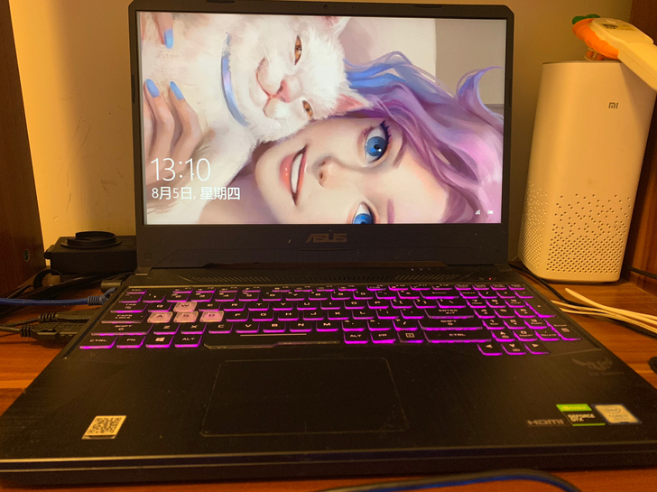飞行堡垒7FX95，没有磕碰基本没有用过，...