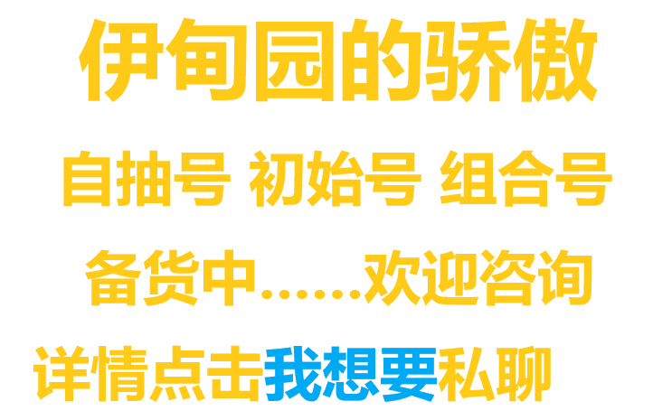 伊甸园的骄傲ios苹果安卓自抽号初始号组合...