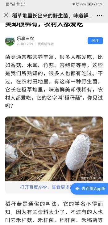 求购稻草菇,就是农村,以前小时候在稻草堆里...