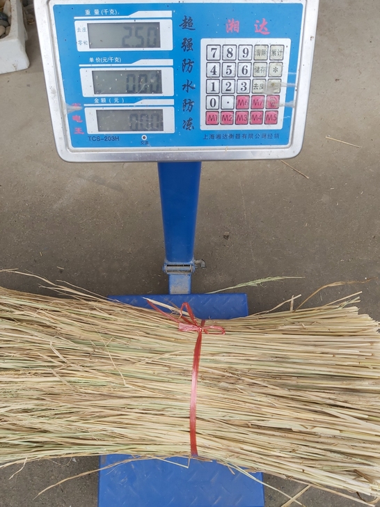 新稻草10斤34包邮。10斤34元。图片一...