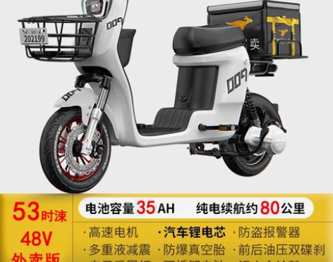 凯万德009新国标电动自行车长跑王锂电池外...