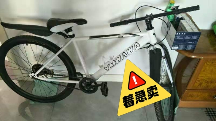 新旧程度 全新自行车到手提了没超过10次，...