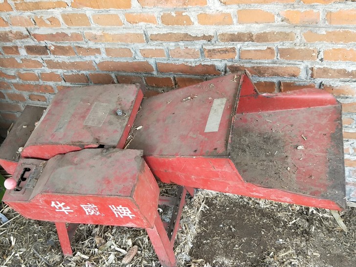 铡草机带电机,能粉碎玉米杆和稻草,养个六七...