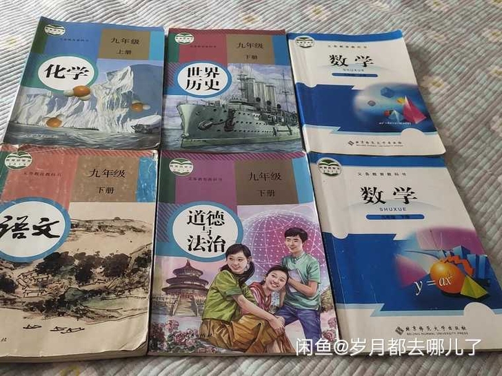 世界历史九年级上，下册，语文下册，还有化学...