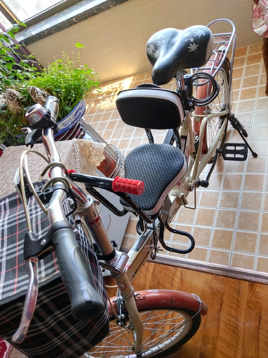 自行车和儿童车95成新，两车子都可折叠。使...