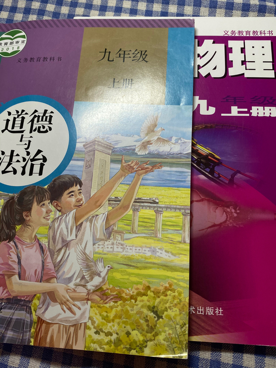 多买了 九年级道德与法治和物理书。物理全新...