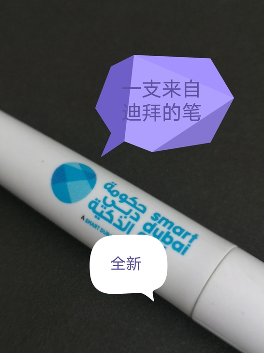全新包邮 一支来自迪拜的笔 圆珠笔 非水...