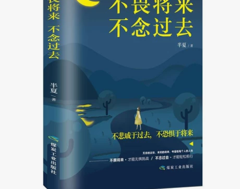 不畏将来不念过去 治愈系书籍青春文学正能量...