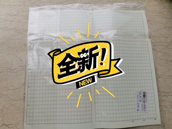 管综 公务员考试 作文 练习稿纸40张
