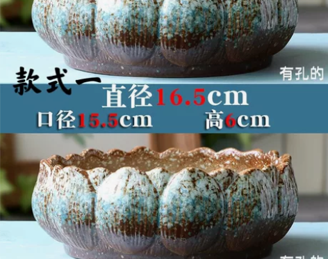 2个大口径多肉花盆组合拼盘仅22.5元，透...