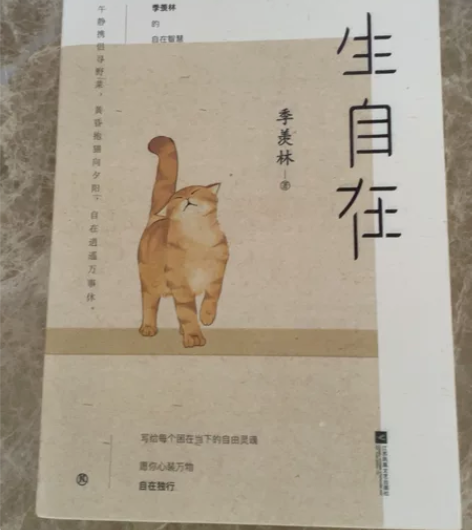 季羡林散文 包邮非偏远 一生自在 正版书 ...