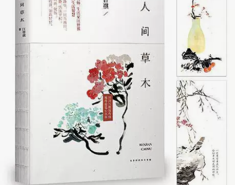 人间草木  散文书籍散文集汪曾祺经典散文集...