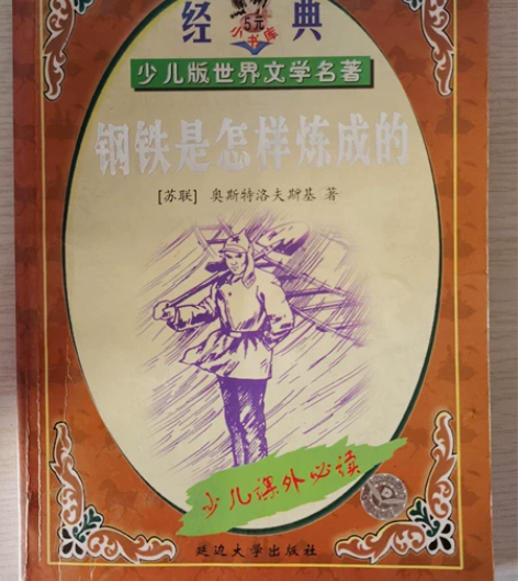 钢铁是怎样炼成的,海底两万里,培根随笔,名...