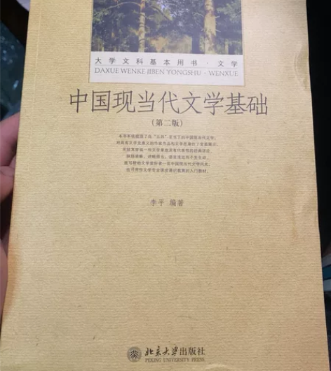 中国现当代文学基础 李平编著9787301...