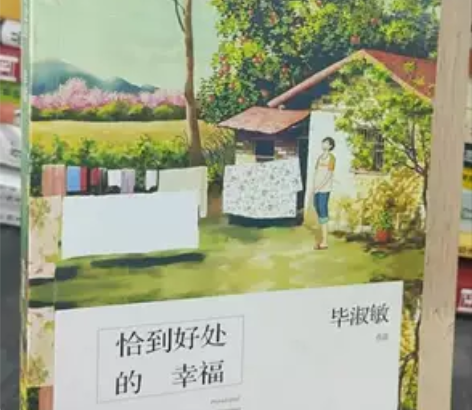 正版二手书 恰到好处的幸福 毕淑敏,著...