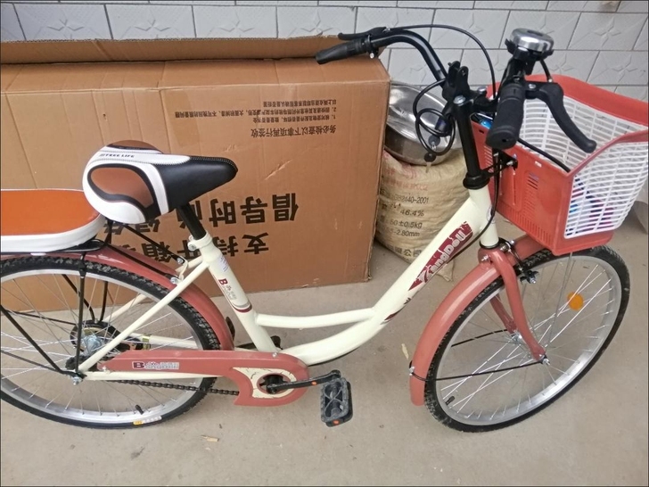 全新非二手自行车成人女式成年普通通勤单车城...