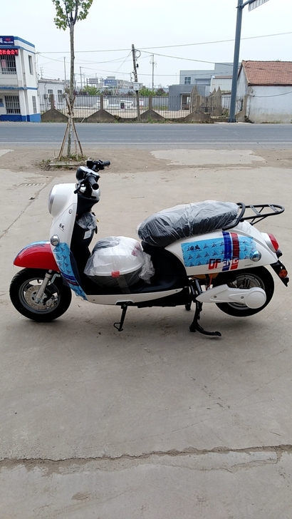 百年品牌，中华老字号，凤凰电动车，处理价格