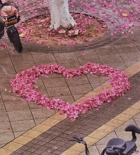 爱奇艺7天会员 秒到账 感兴趣的话点“我想...