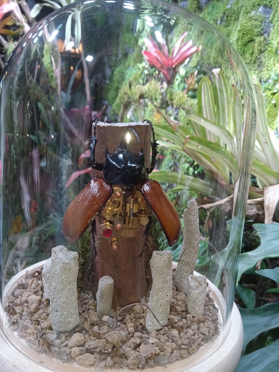 蒸汽朋克昆虫 五角大兜虫