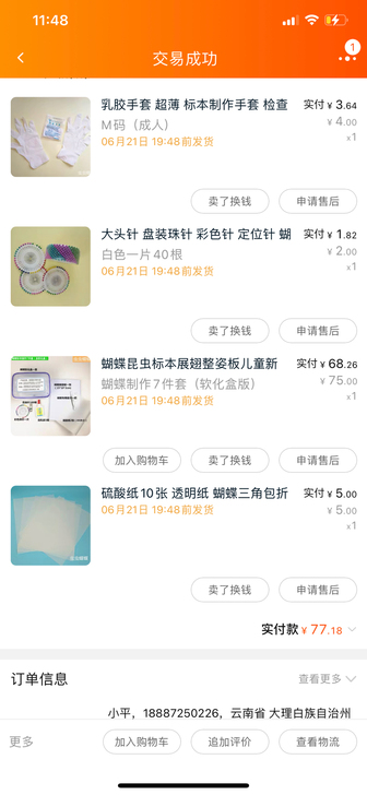 全新蝴蝶昆虫标本展翅整姿板儿童新手练手标本...