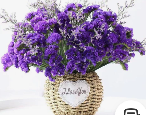 云南天然风干花花束勿忘我真花装饰摆件客厅大...