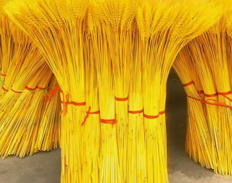 天然麦穗干花花束开业小麦客厅田园装饰摆件花...