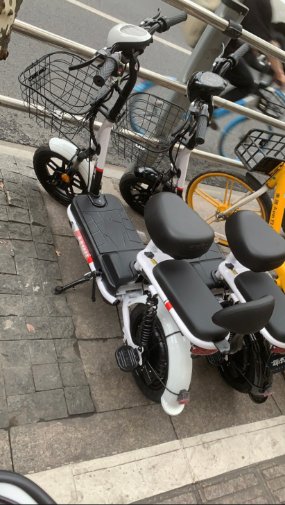 全新新大洲旗下新本冈田电动车 48V16锂...