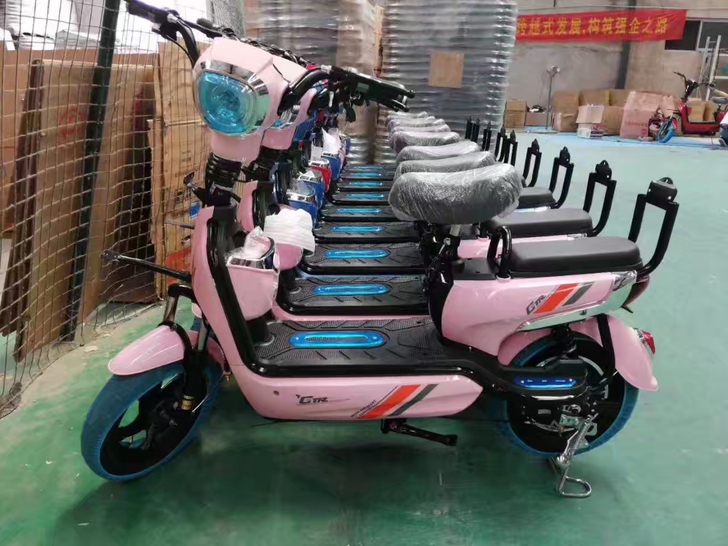 绿源款成人男女电动自行车 配置等级：标准型...