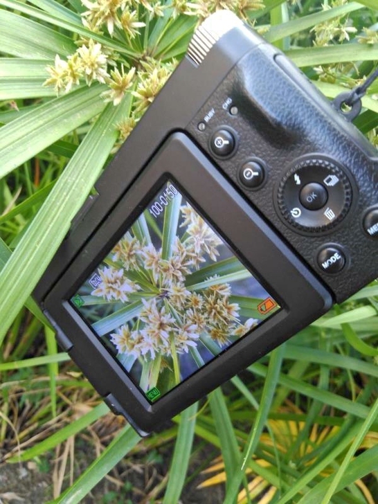 相机高像素高清学生拍照高中入门级复古数码照...