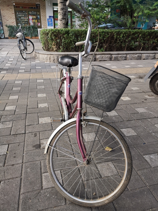 24女式轻便自行车没有任何毛病，非常好奇