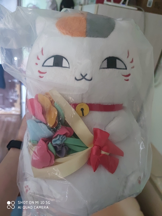 猫老师一番A赏。可送小赏。