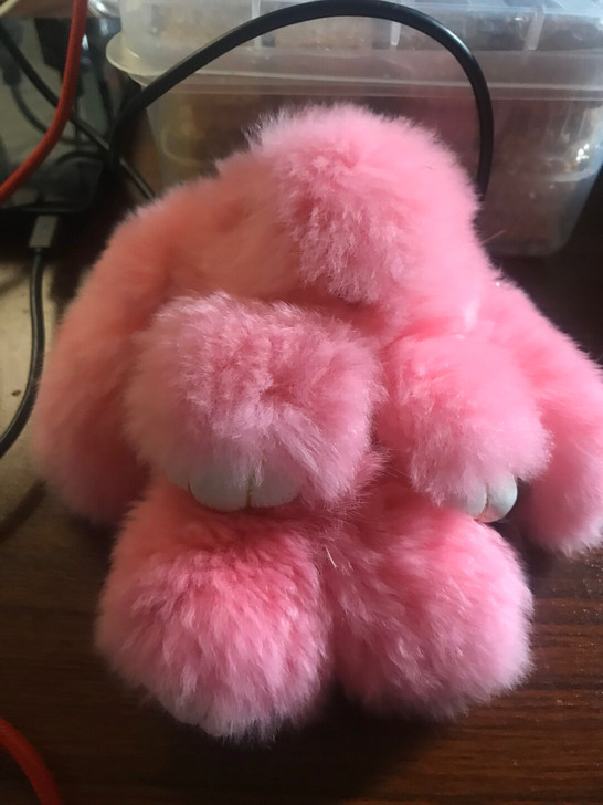 可爱毛绒包包挂饰，朋友送的，几乎全新