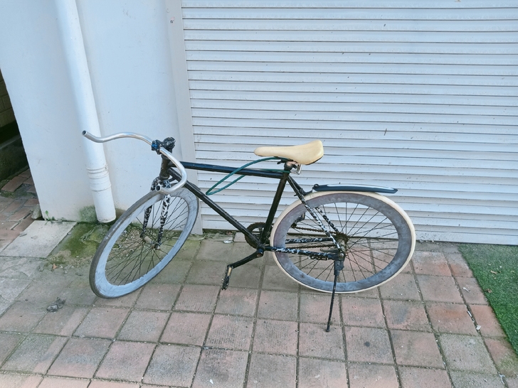 死飞，闲置，刚换后轮胎，爽快的送坐垫，把套...