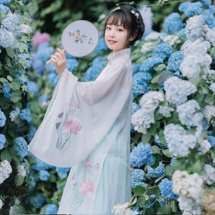 青衫伊人原创【夏荷】明制立领长衫汉服女刺绣...