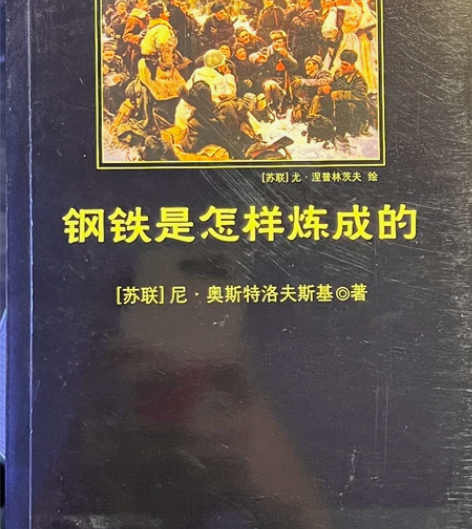 钢铁是怎样炼成的 北京师范大学出版社 正版...