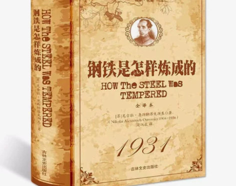 钢铁是怎样炼成的(精装)全译本原著无删减 ...