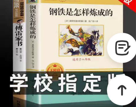傅雷家书钢铁是怎样炼成的正版原著无删减八年...
