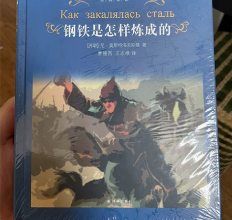 《钢铁是怎样炼成的》作者尼.奥斯特洛夫斯基...