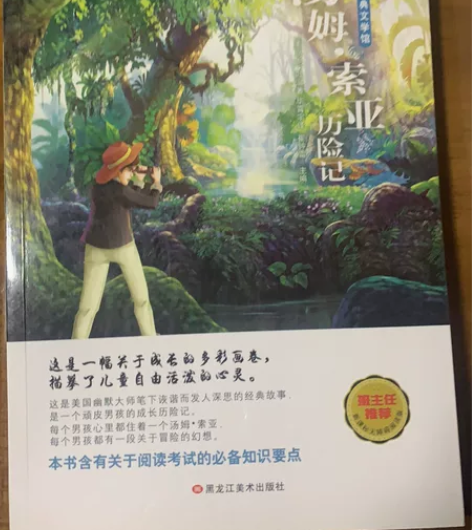 汤姆索亚历险记全新 课外shu。全新出售。...