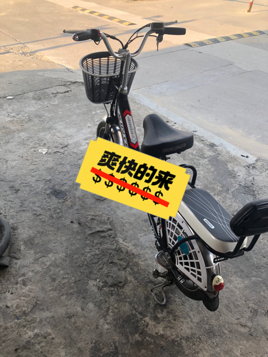 48V12A上海凤凰锂电池续航