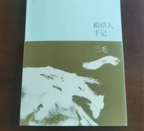 稻草人手记 三毛 九成新左右的正版书，内页...